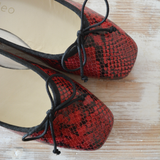 BAILARINAS SWEET ROJAS