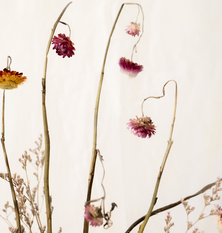 banner tiendas mardecleo mo